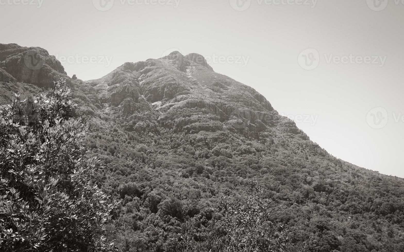 parque nacional de la montaña de la mesa ciudad del cabo, sudáfrica. foto