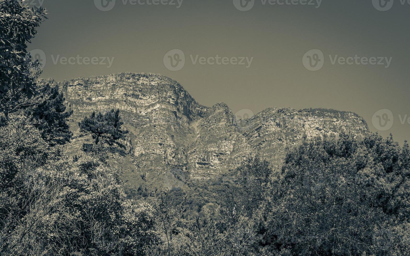 Mountains in the Tablemountain National Park in Cape Town. photo