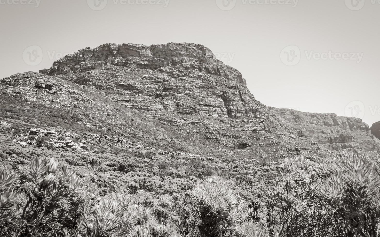 View from Table Mountain National Park Cape Town, South Africa. photo