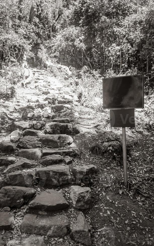 Stony Newlands Ravine hiking trail in the Tablemoutain National Park. photo