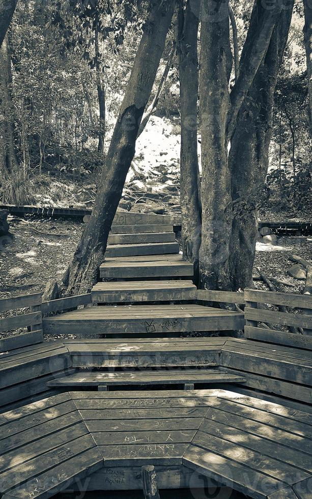 Hiking trail Tablemoutain National Park, Cape Town, South Africa. photo