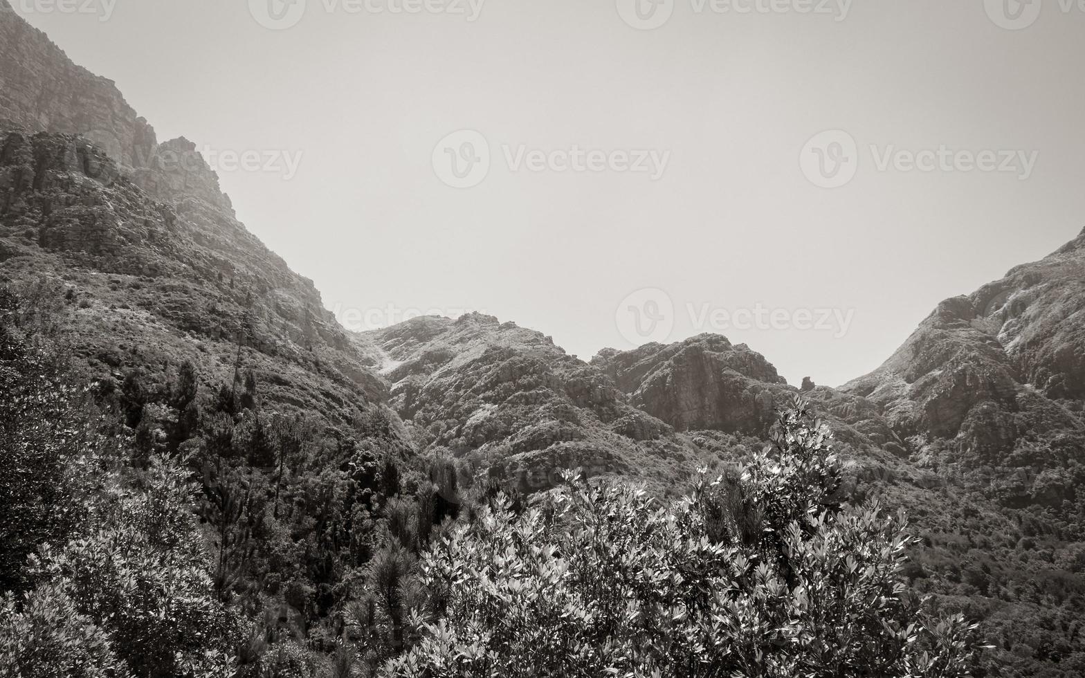 Table Mountain National Park Cape Town, South Africa. photo