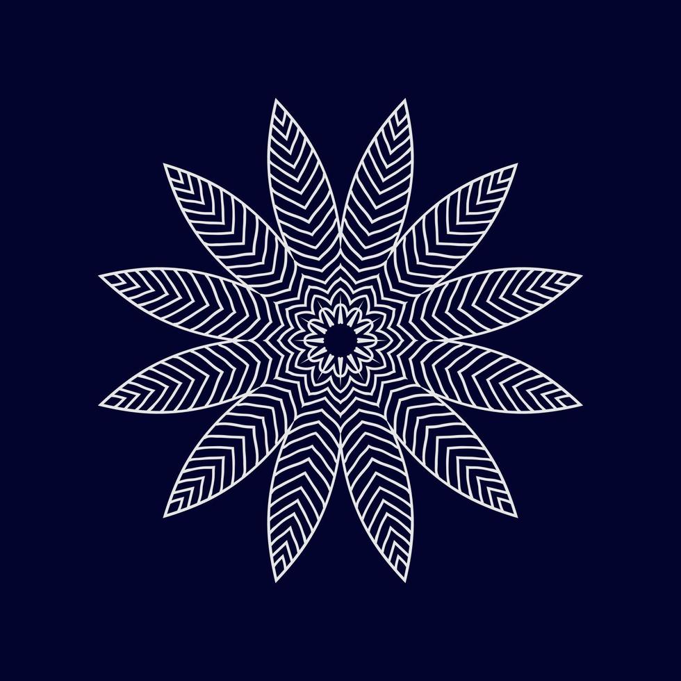 New mandala designs vector illustration