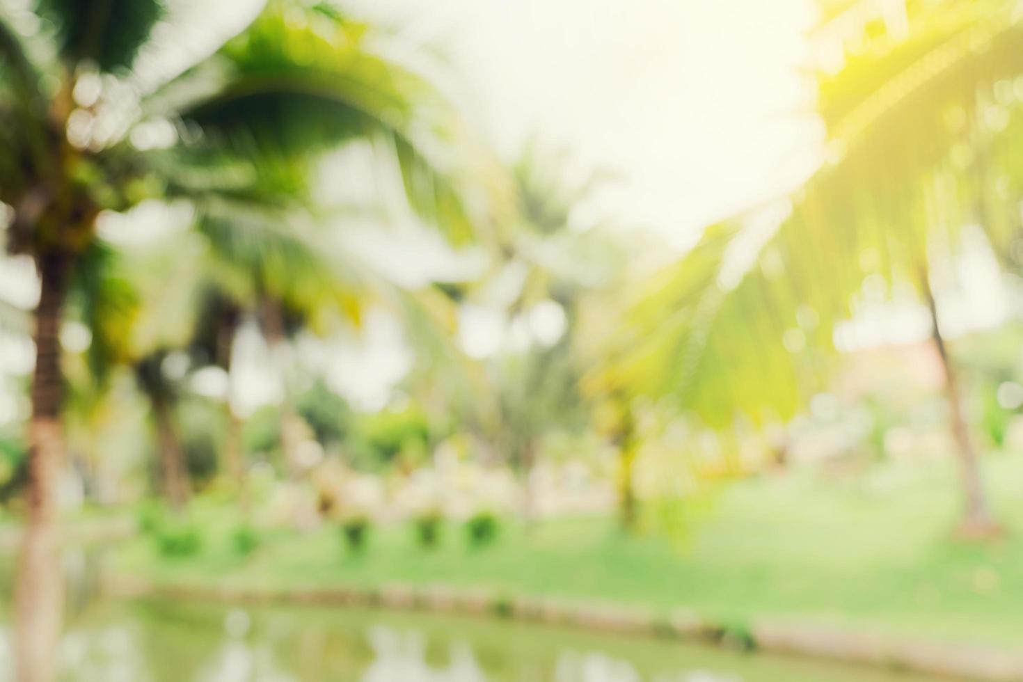 defocused bokeh and blur background of garden trees in sunlight with vintage toned. photo