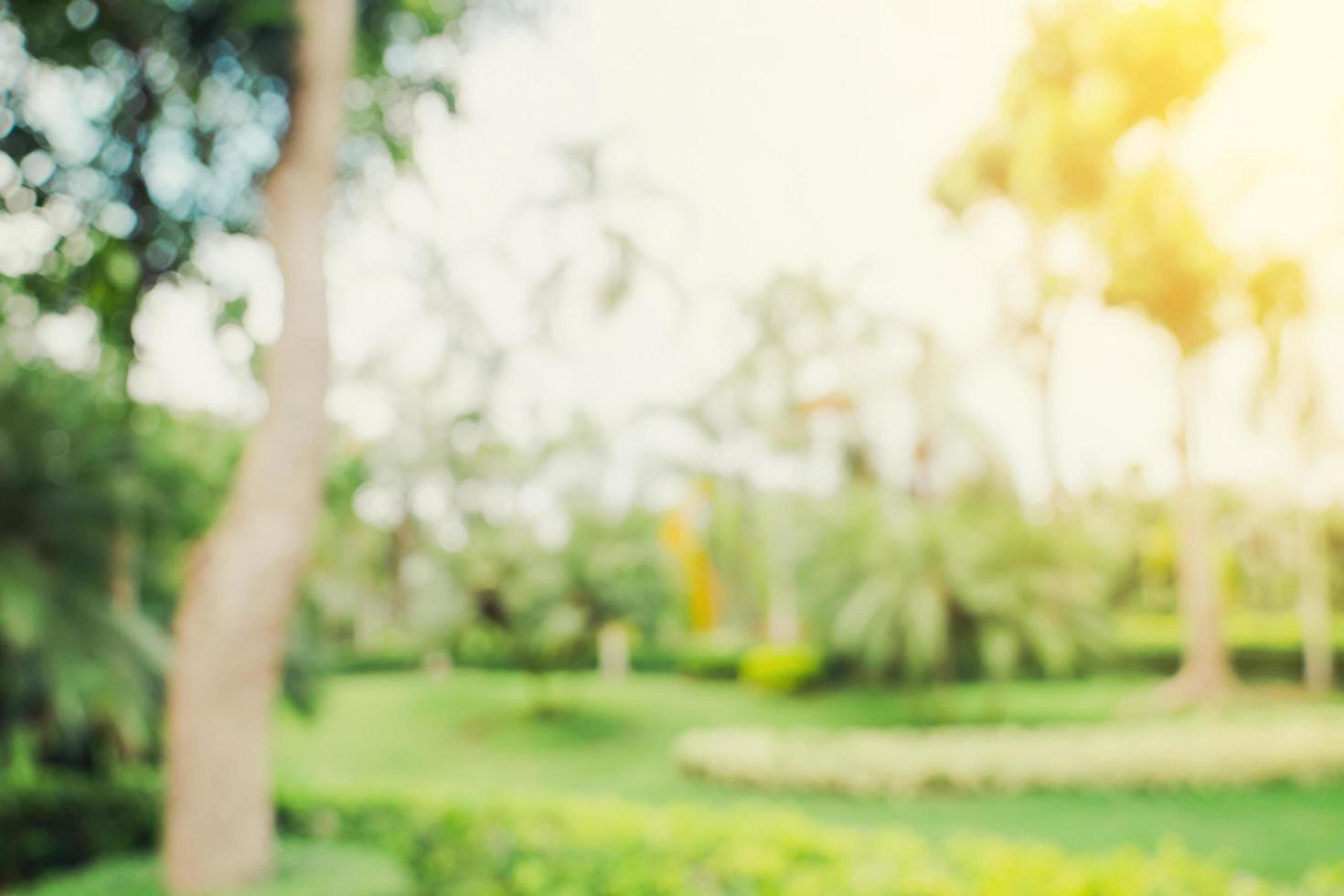 defocused bokeh and blur background of garden trees in sunlight with vintage toned. photo