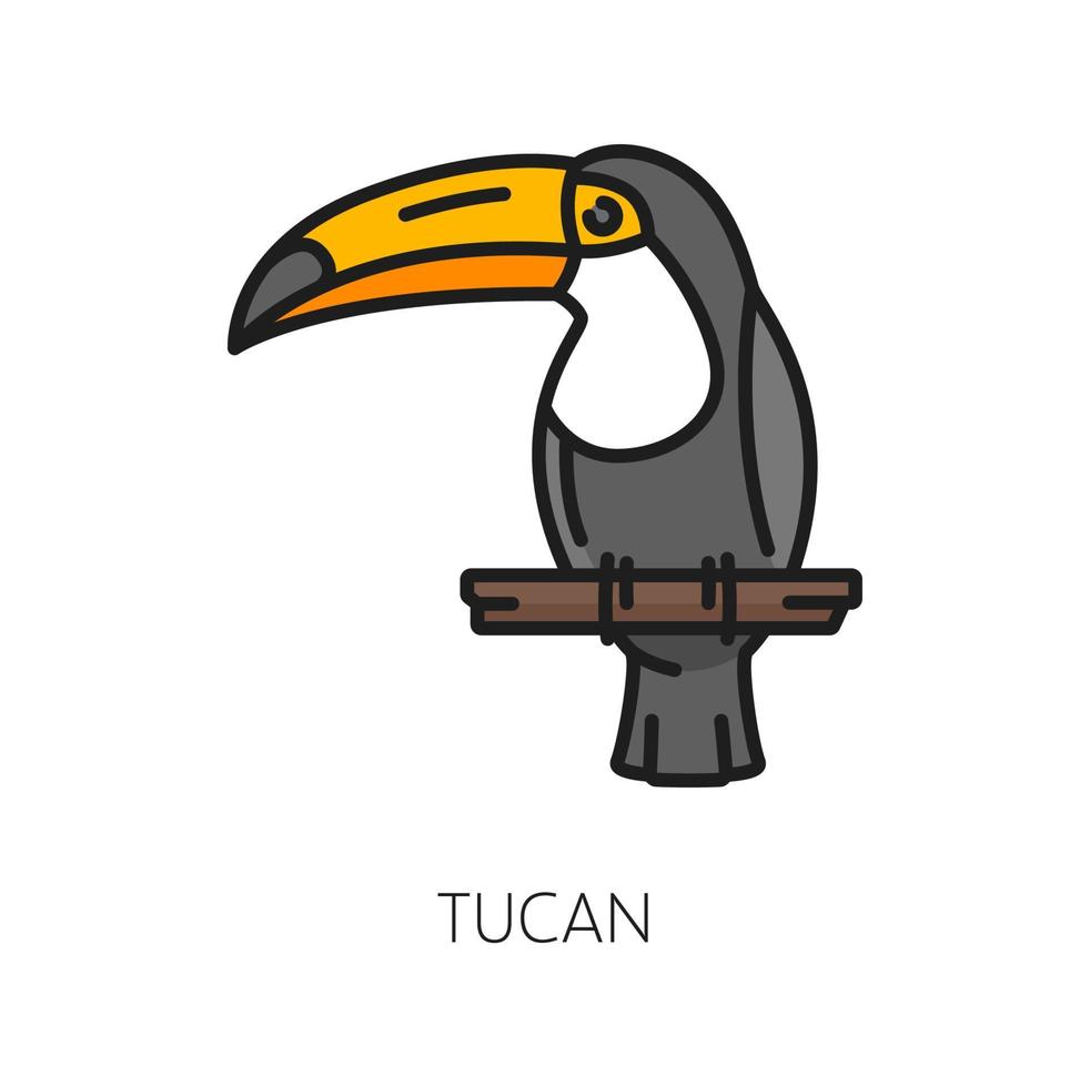 Toucan bird, Argentina parrot with massive bill vector