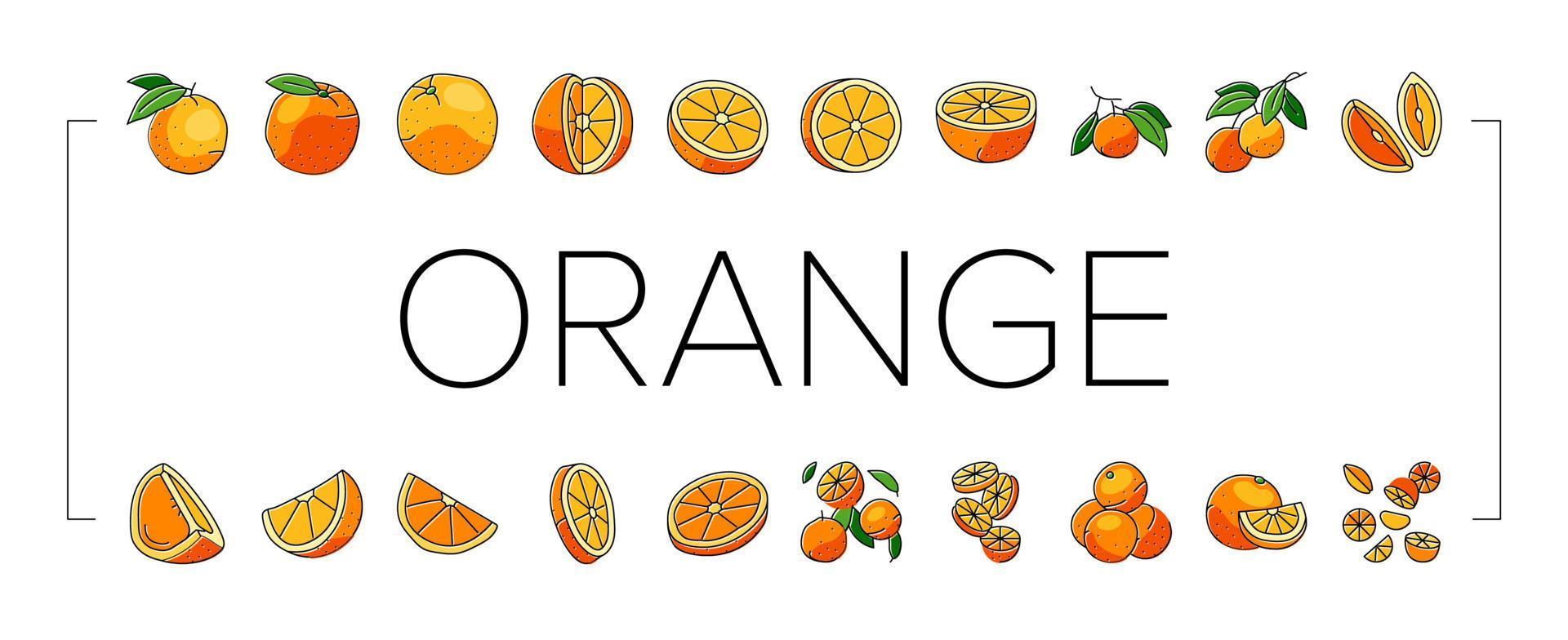 orange citrus fresh slice juice icons set vector