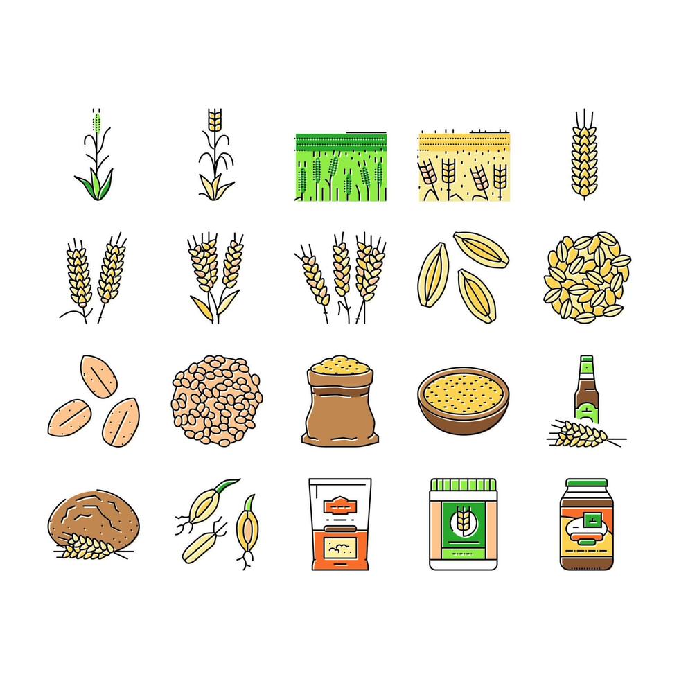 barley cereal grain harvest icons set vector