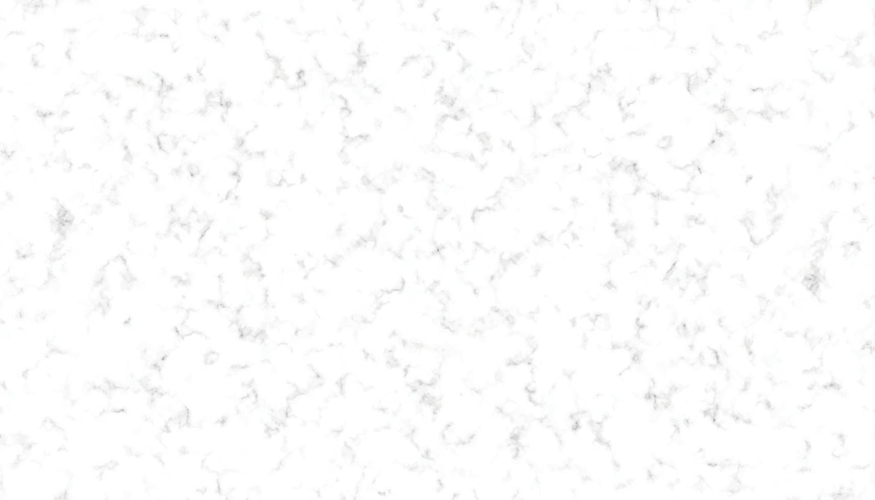 White marble background texture natural stone pattern.Abstract light elegant black for do floor ceramic counter texture stone slab smooth tile gray silver.Marble texture for skin tile luxurious design vector