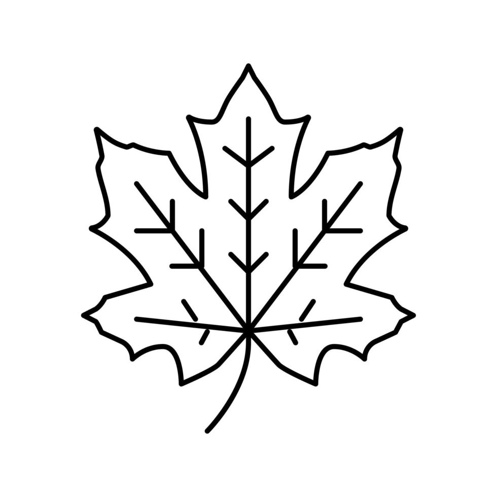 maple tree leaf line icon vector illustration