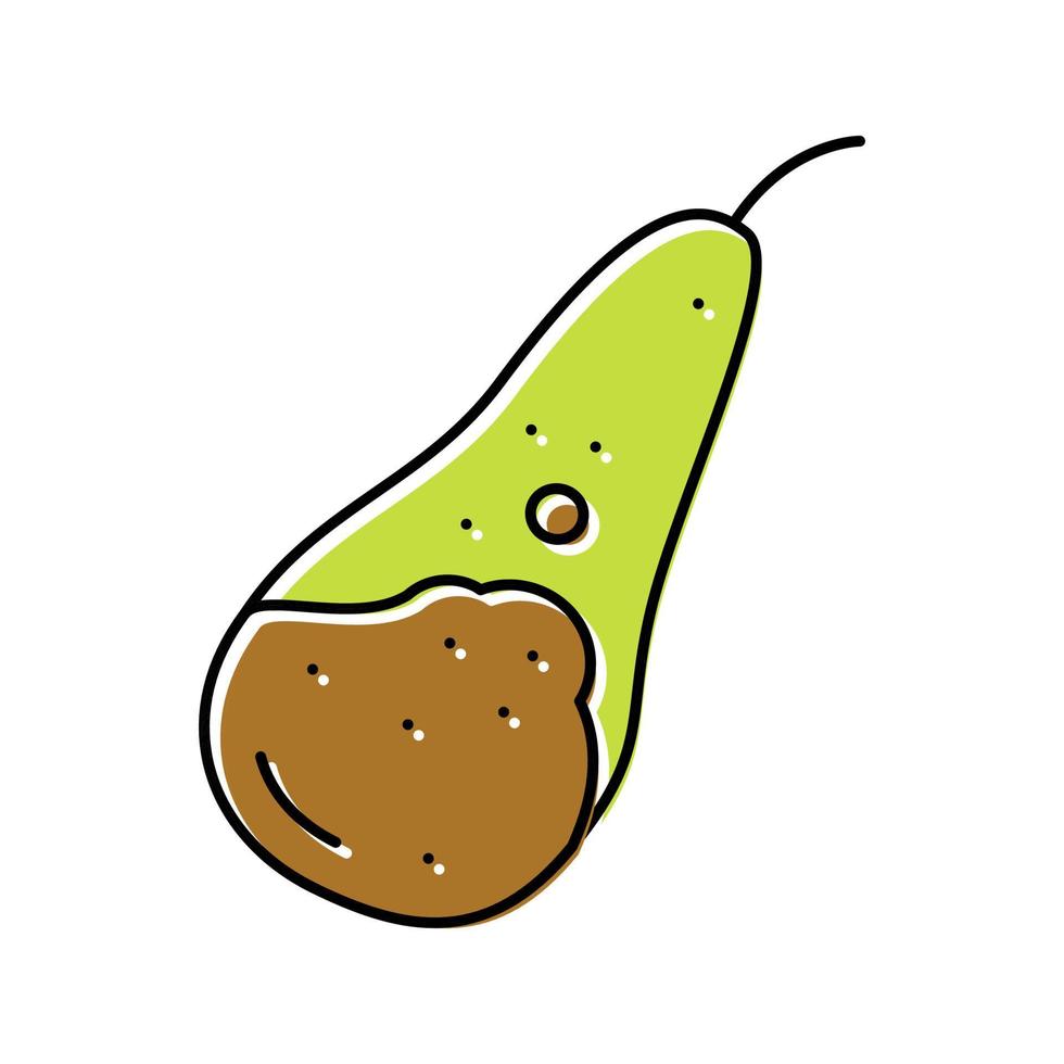 pear conference whole color icon vector illustration