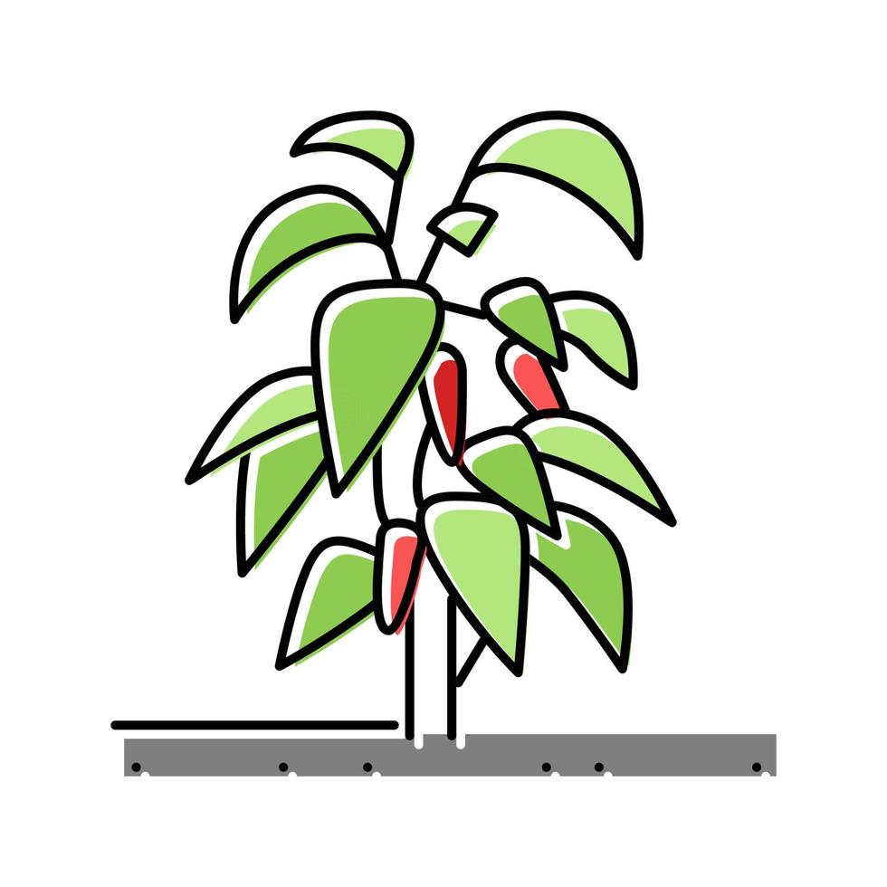 ilustración de vector de icono de color de chile de planta