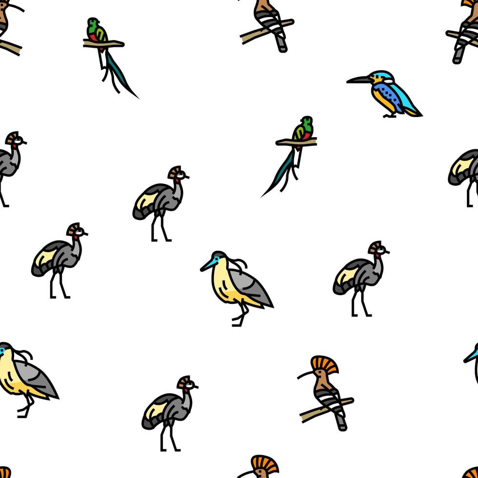 bird exotic animal nature wild vector seamless pattern