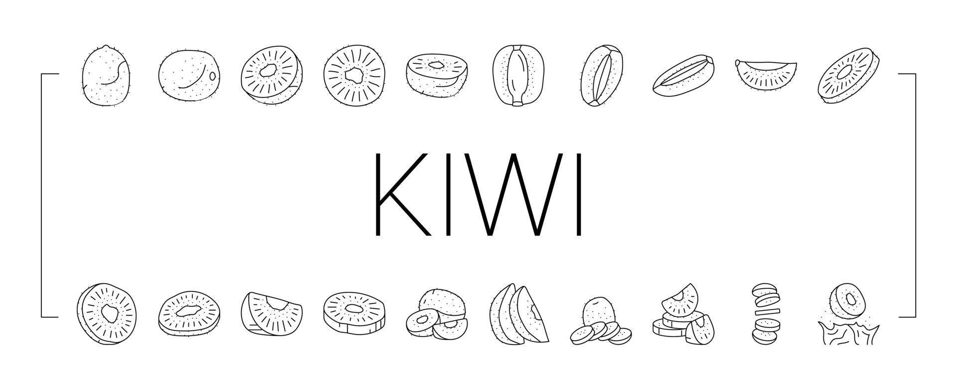 kiwi fruit green fresh slice icons set vector