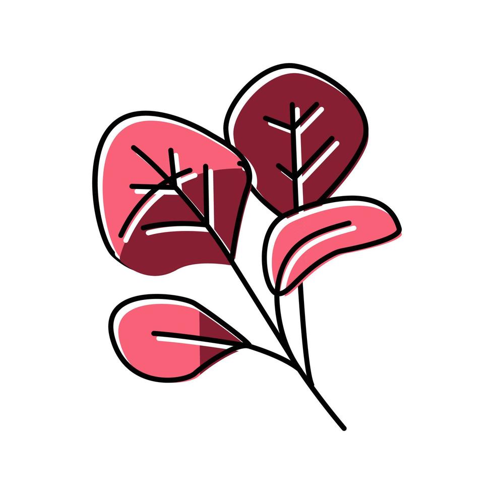 ilustración de vector de icono de color de espinaca roja