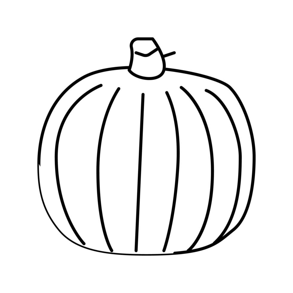 ilustración de vector de icono de línea de calabaza entera