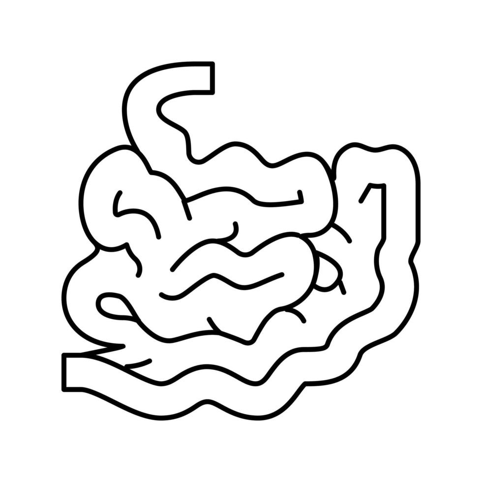 intestino humano órgano línea icono vector ilustración