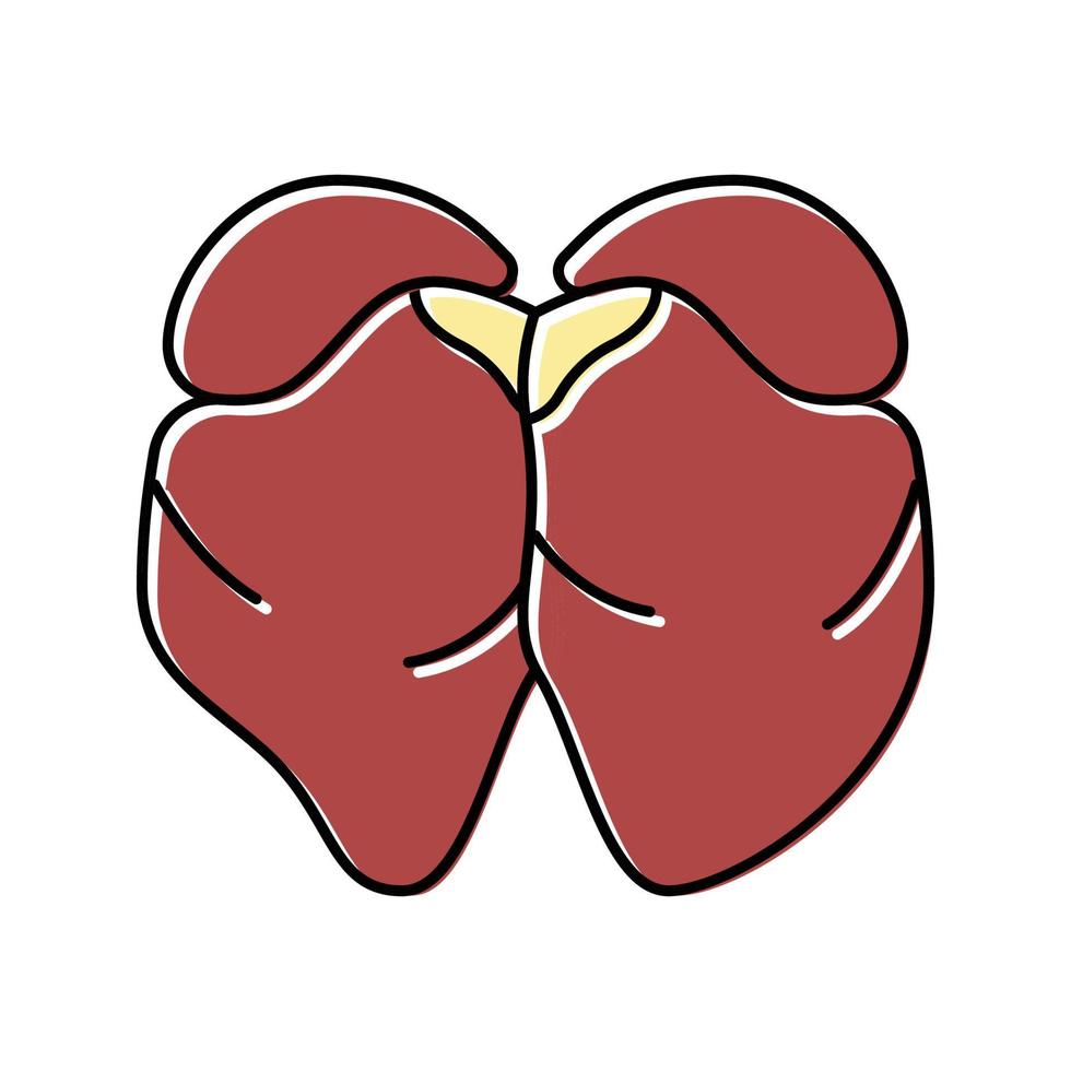 liver chicken color icon vector illustration
