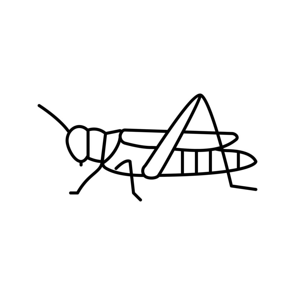 dragonfly insect line icon vector illustration