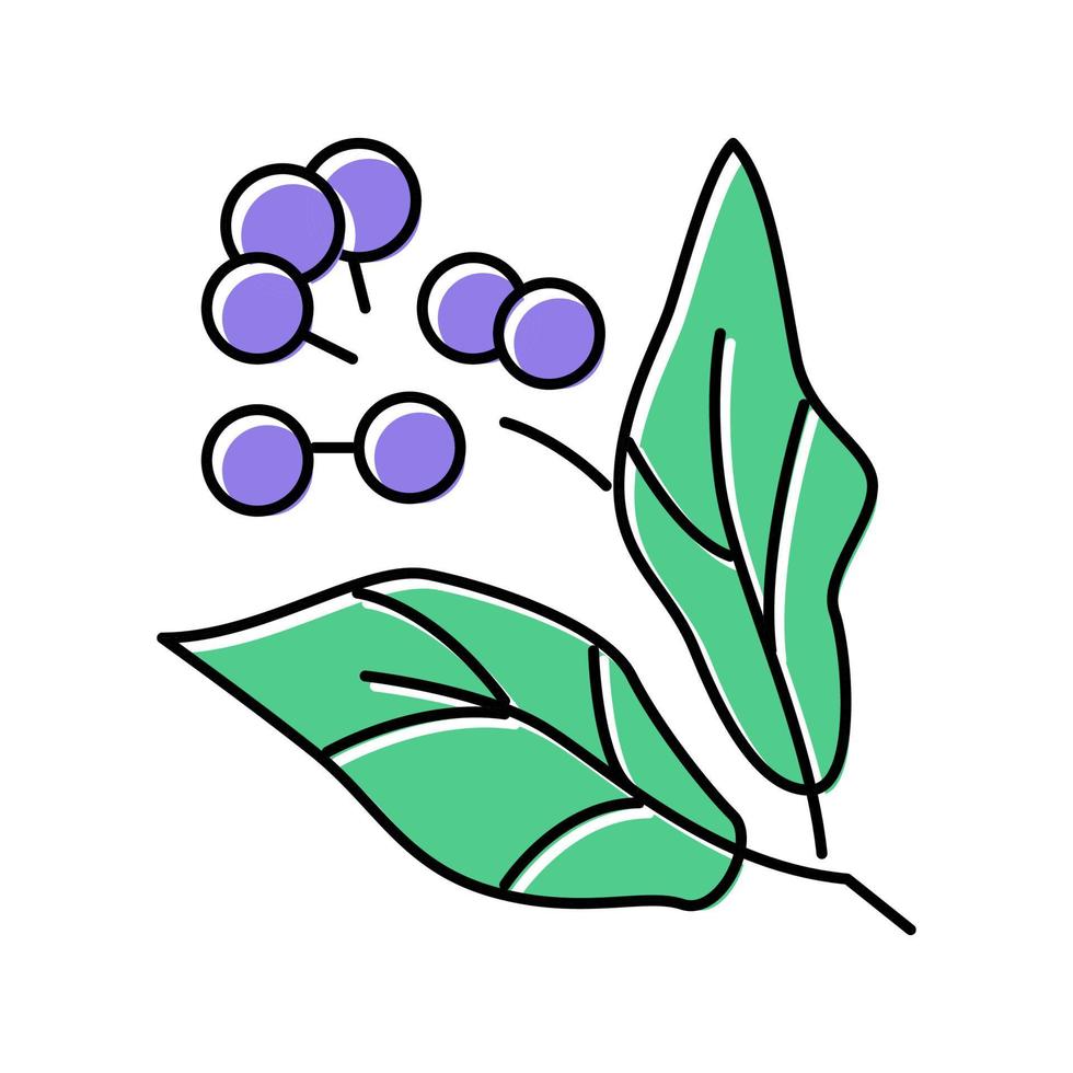 camphor aromatherapy color icon vector isolated illustration