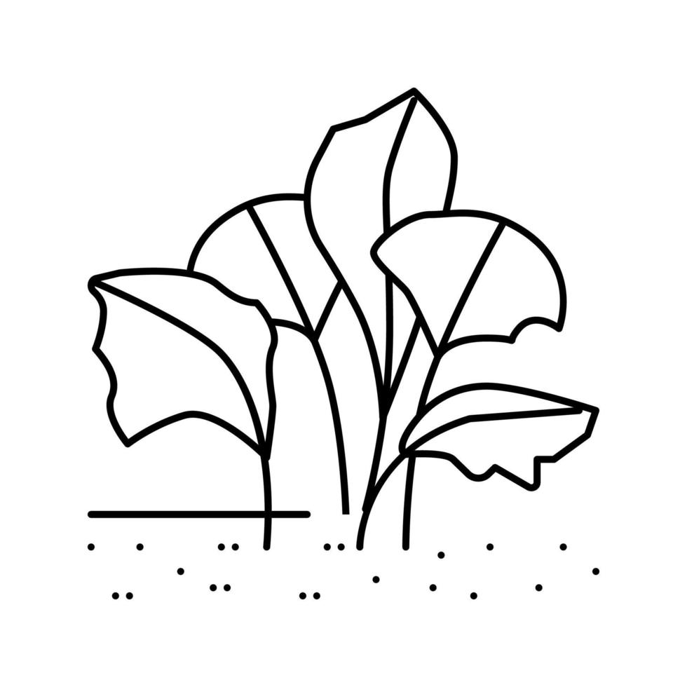 live aquatic plant aquarium fish line icon vector illustration