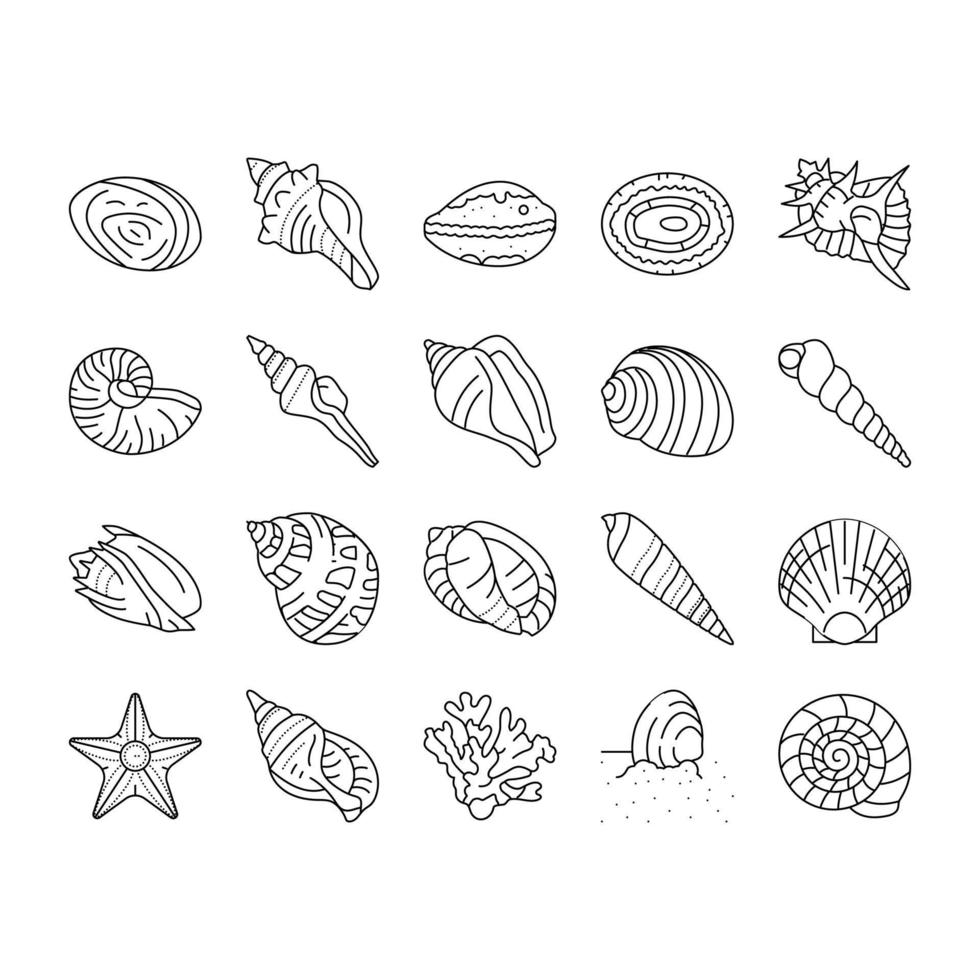 sea shell beach summer ocean icons set vector