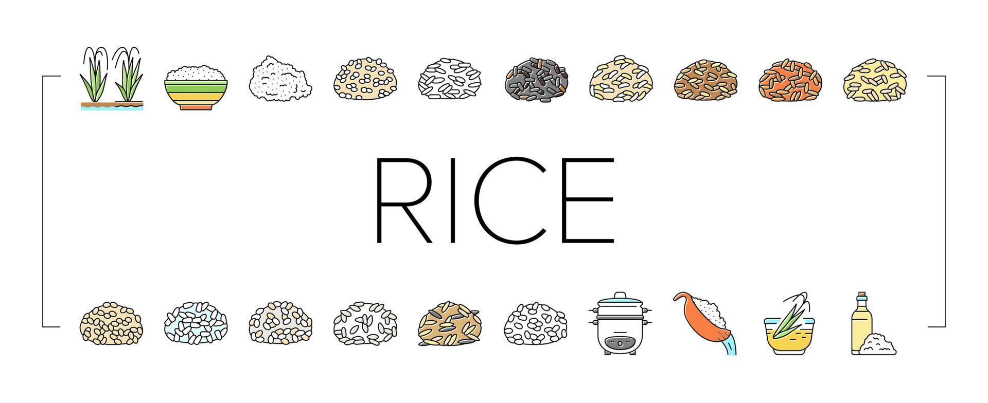 arroz para preparar deliciosos iconos de comida establecer vector