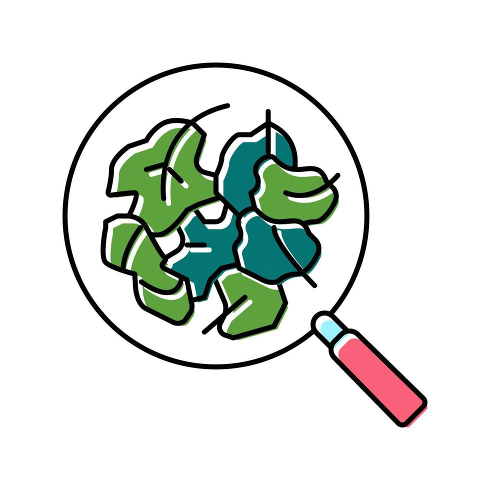 raw spinach color icon vector illustration