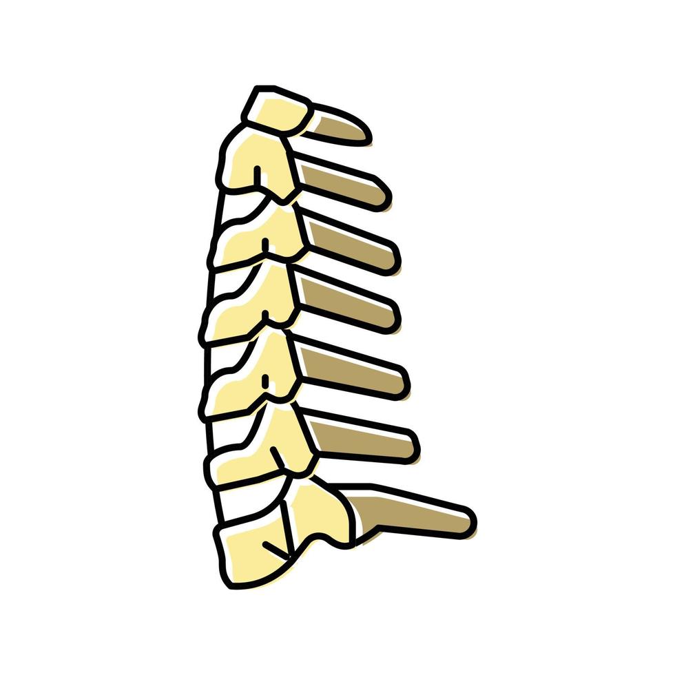 ilustración de vector de icono de color de hueso de cuello