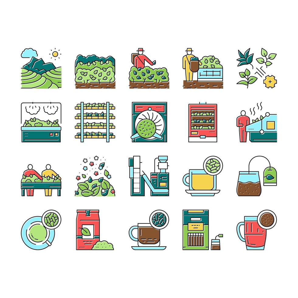 Tea Drink Production Collection Icons Set Vector