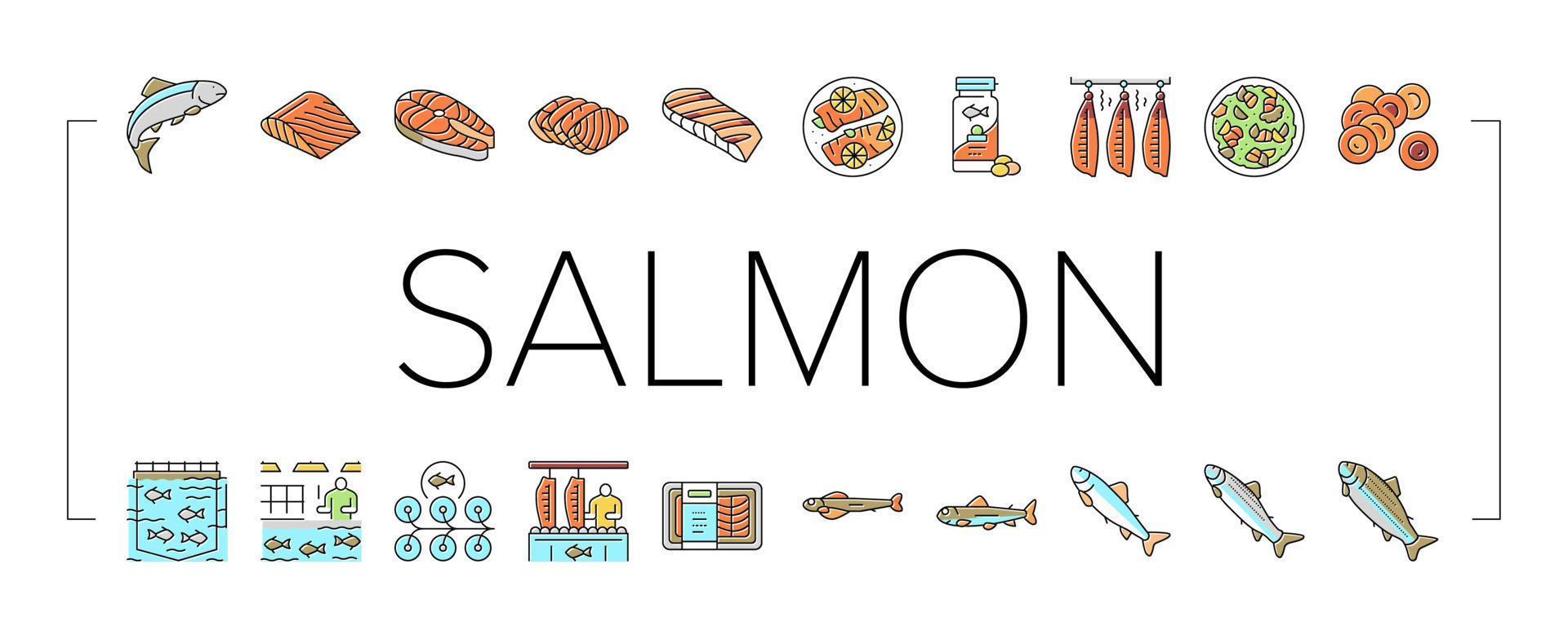 salmón, pescado, delicioso, mariscos, iconos, conjunto, vector