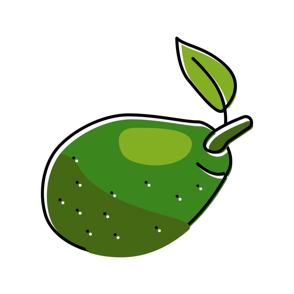 ilustración de vector de icono de color de hoja de aguacate verde