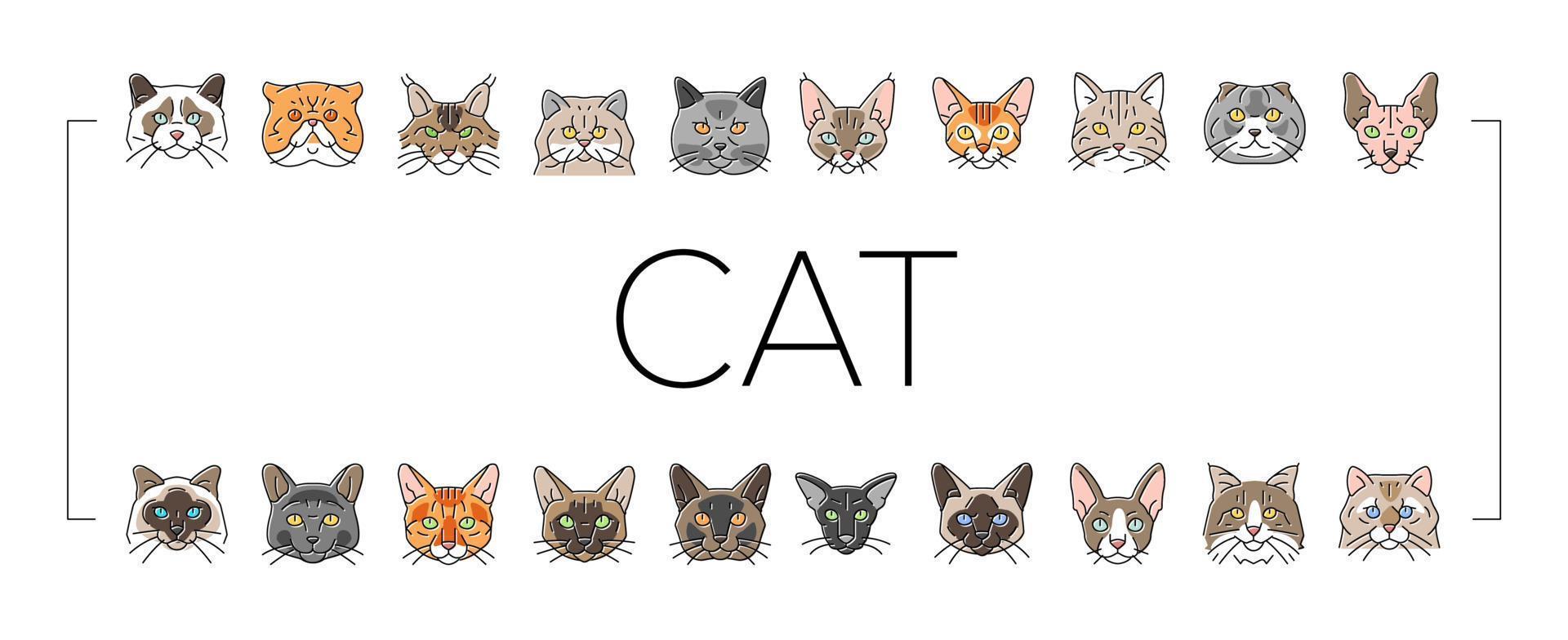 cat cute pet animal kitten funny icons set vector