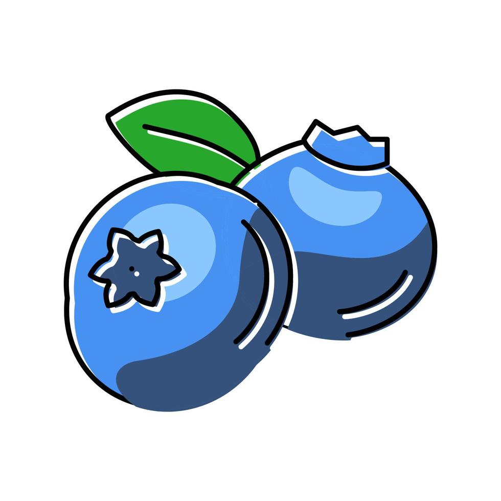 delicious blueberry leaf color icon vector illustration