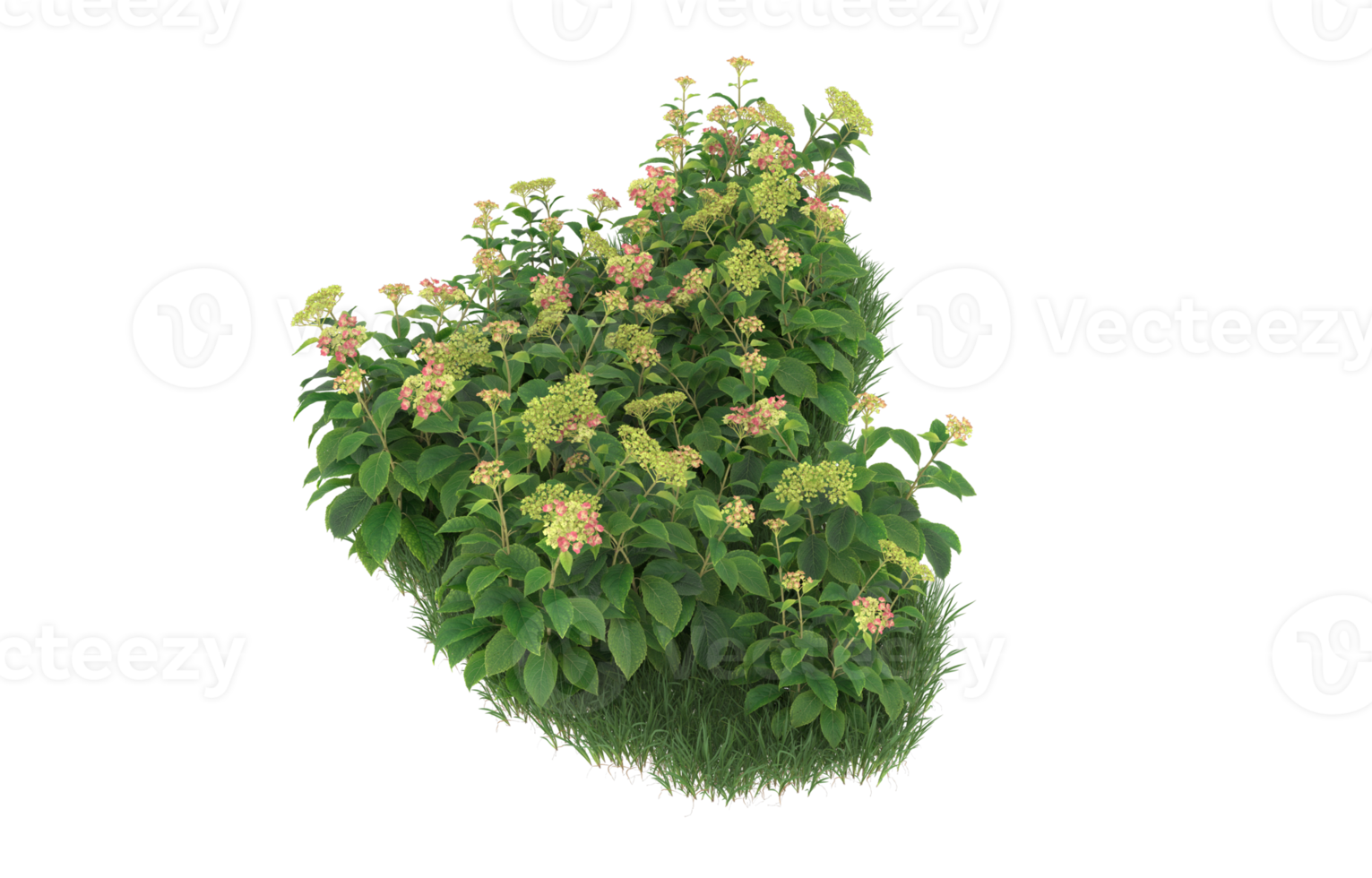Realistic foliage isolated on transparent background. 3d rendering - illustration png