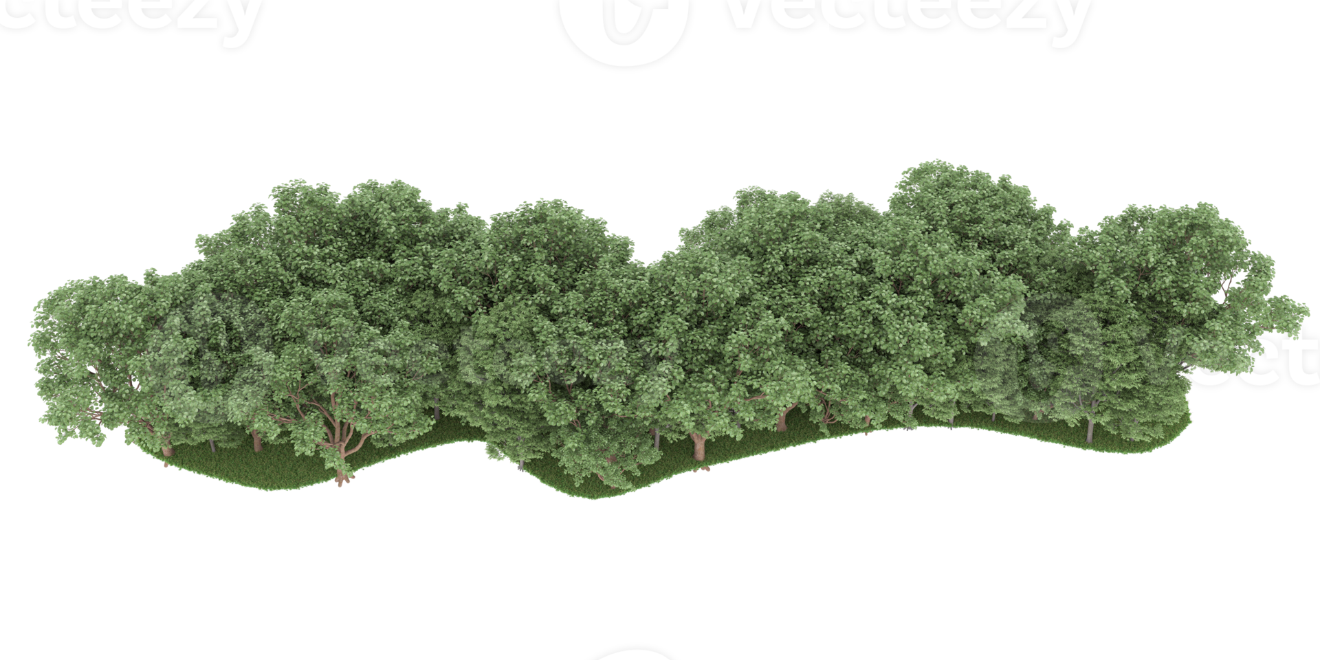 Realistic forest isolated on transparent background. 3d rendering - illustration png