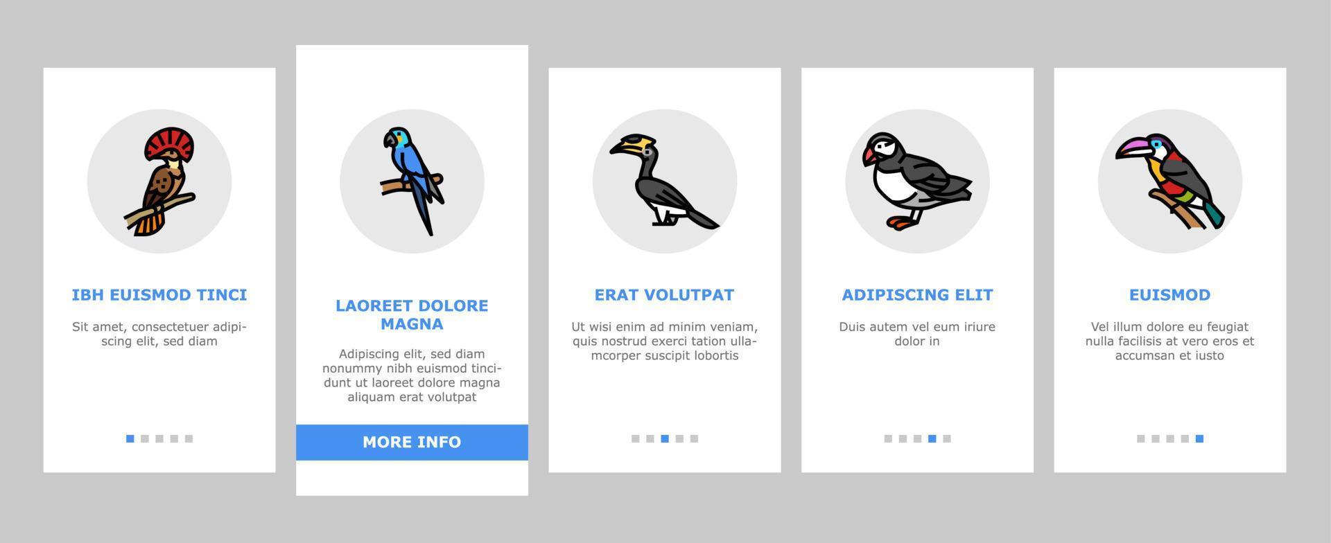 bird exotic animal nature wild onboarding icons set vector