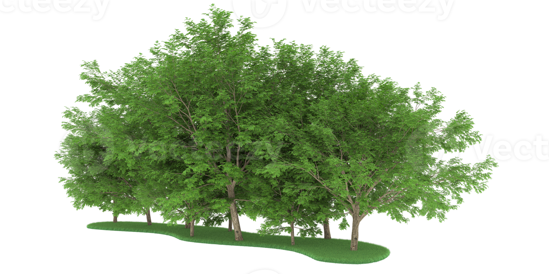 Realistic forest isolated on transparent background. 3d rendering - illustration png