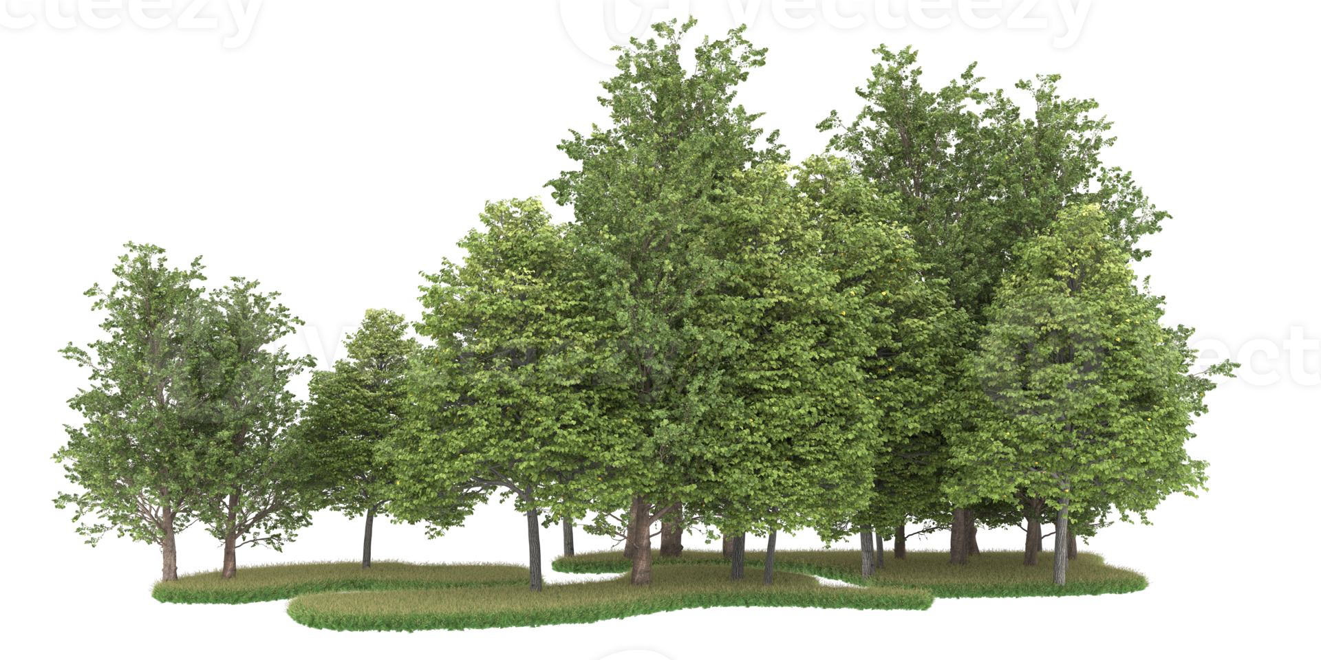 Realistic forest isolated on transparent background. 3d rendering - illustration png