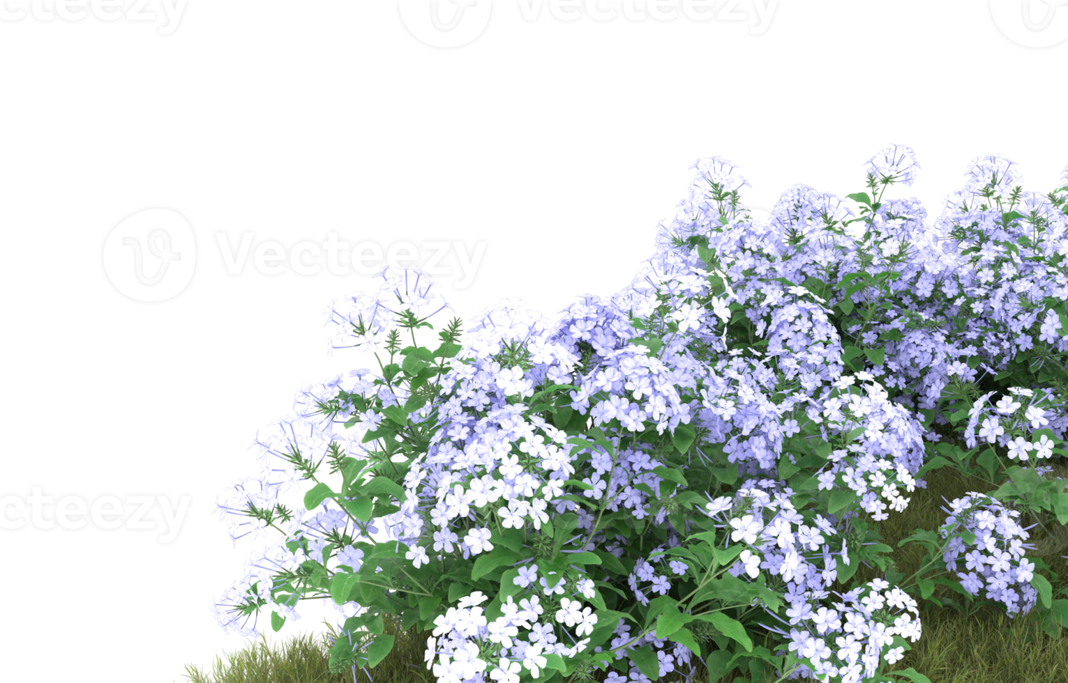 Realistic foliage isolated on transparent background. 3d rendering - illustration png