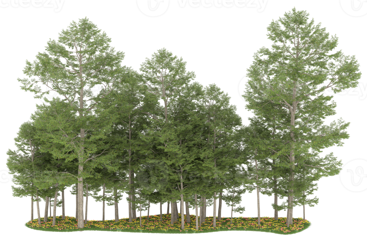 Realistic forest isolated on transparent background. 3d rendering - illustration png