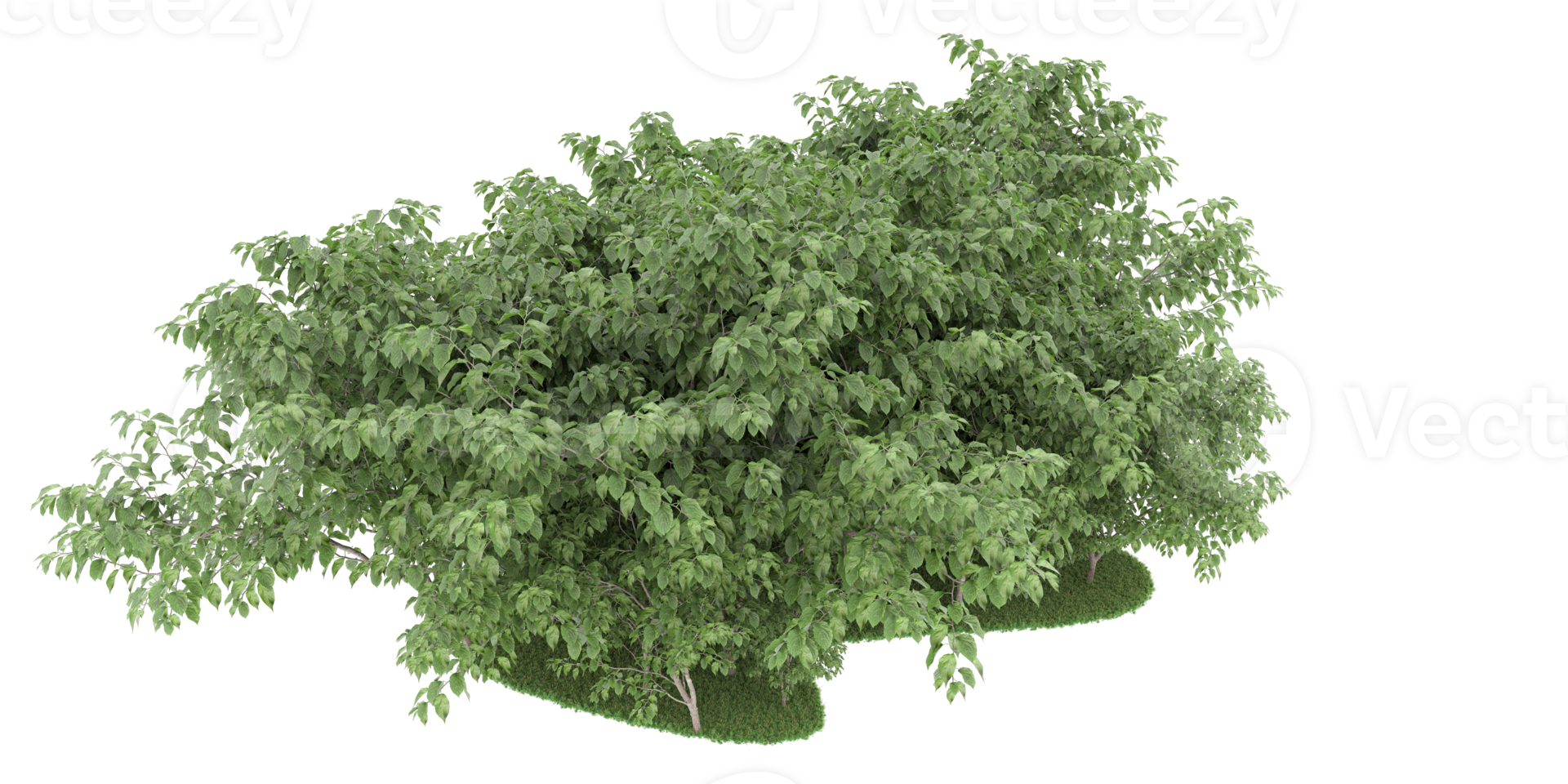 forêt réaliste isolée sur fond transparent. rendu 3d - illustration png