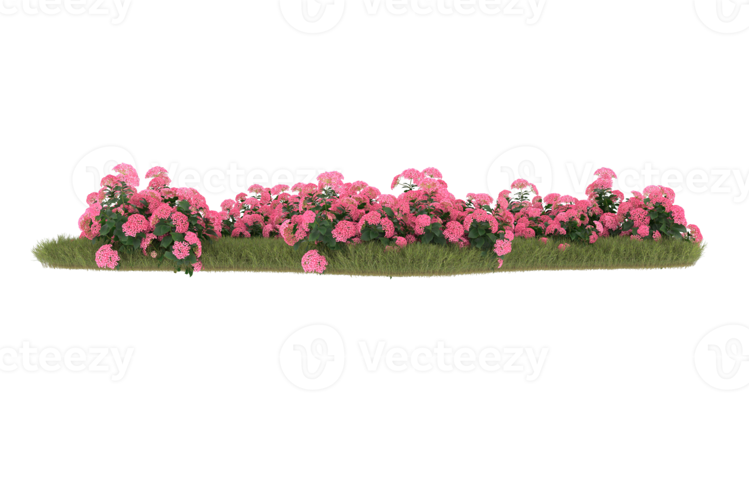 Realistic foliage isolated on transparent background. 3d rendering - illustration png