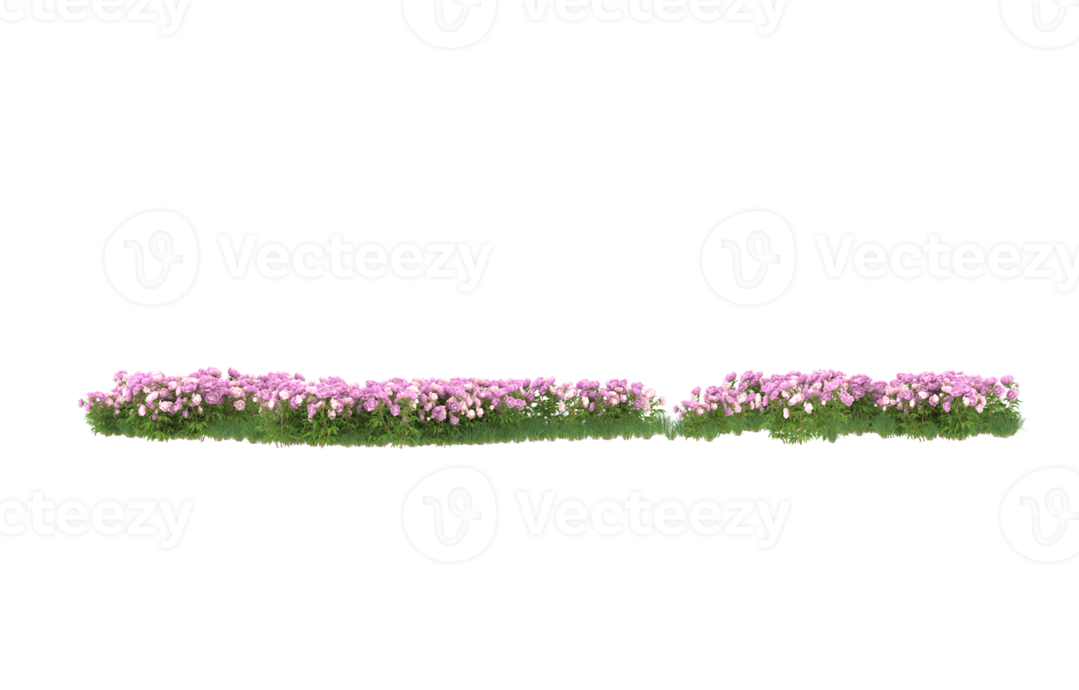 Realistic foliage isolated on transparent background. 3d rendering - illustration png