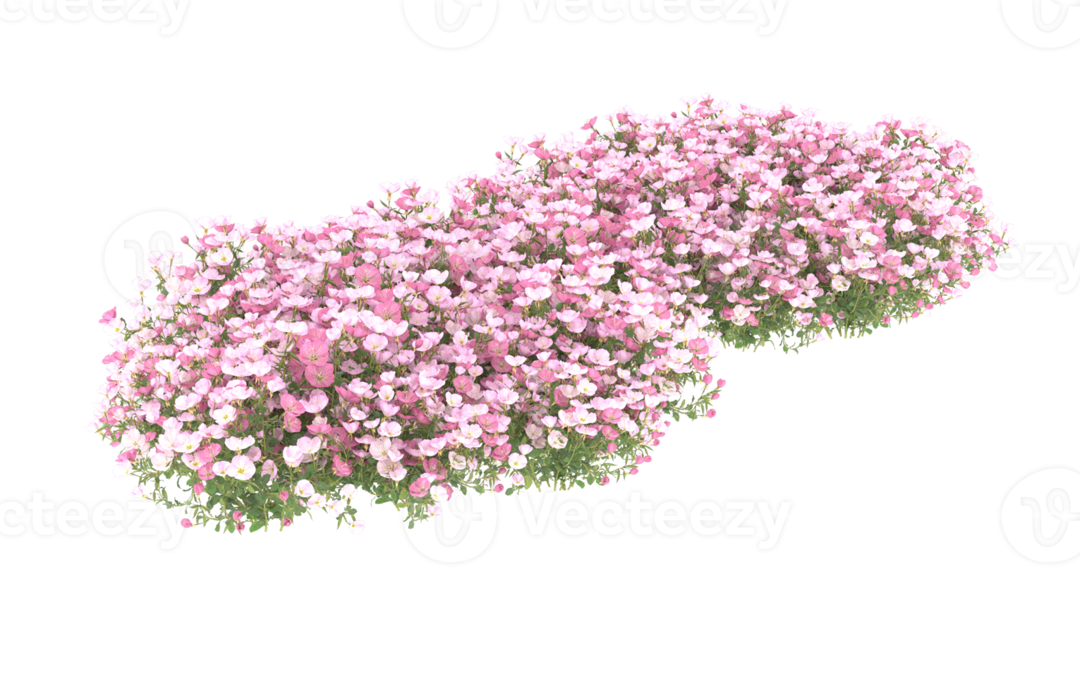 Realistic foliage isolated on transparent background. 3d rendering - illustration png