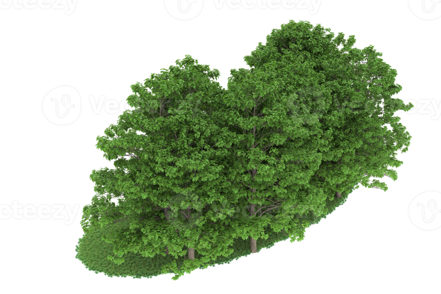 Realistic forest isolated on transparent background. 3d rendering - illustration png