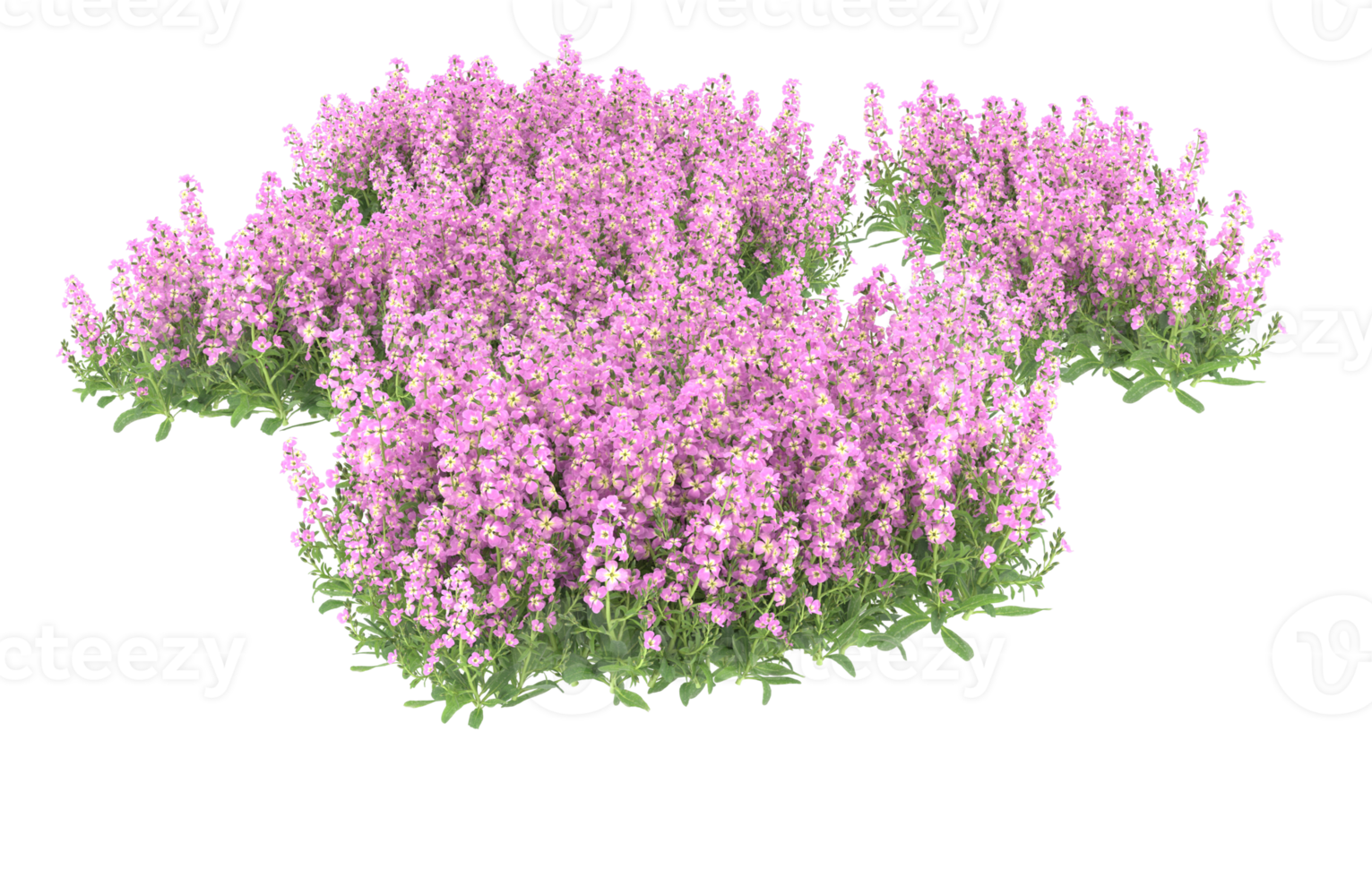 Realistic foliage isolated on transparent background. 3d rendering - illustration png