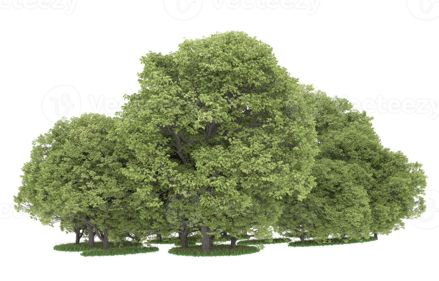 Realistic forest isolated on transparent background. 3d rendering - illustration png
