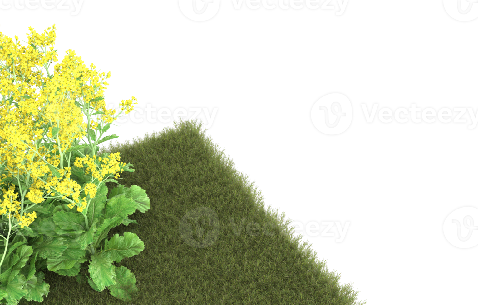 Realistic foliage isolated on transparent background. 3d rendering - illustration png