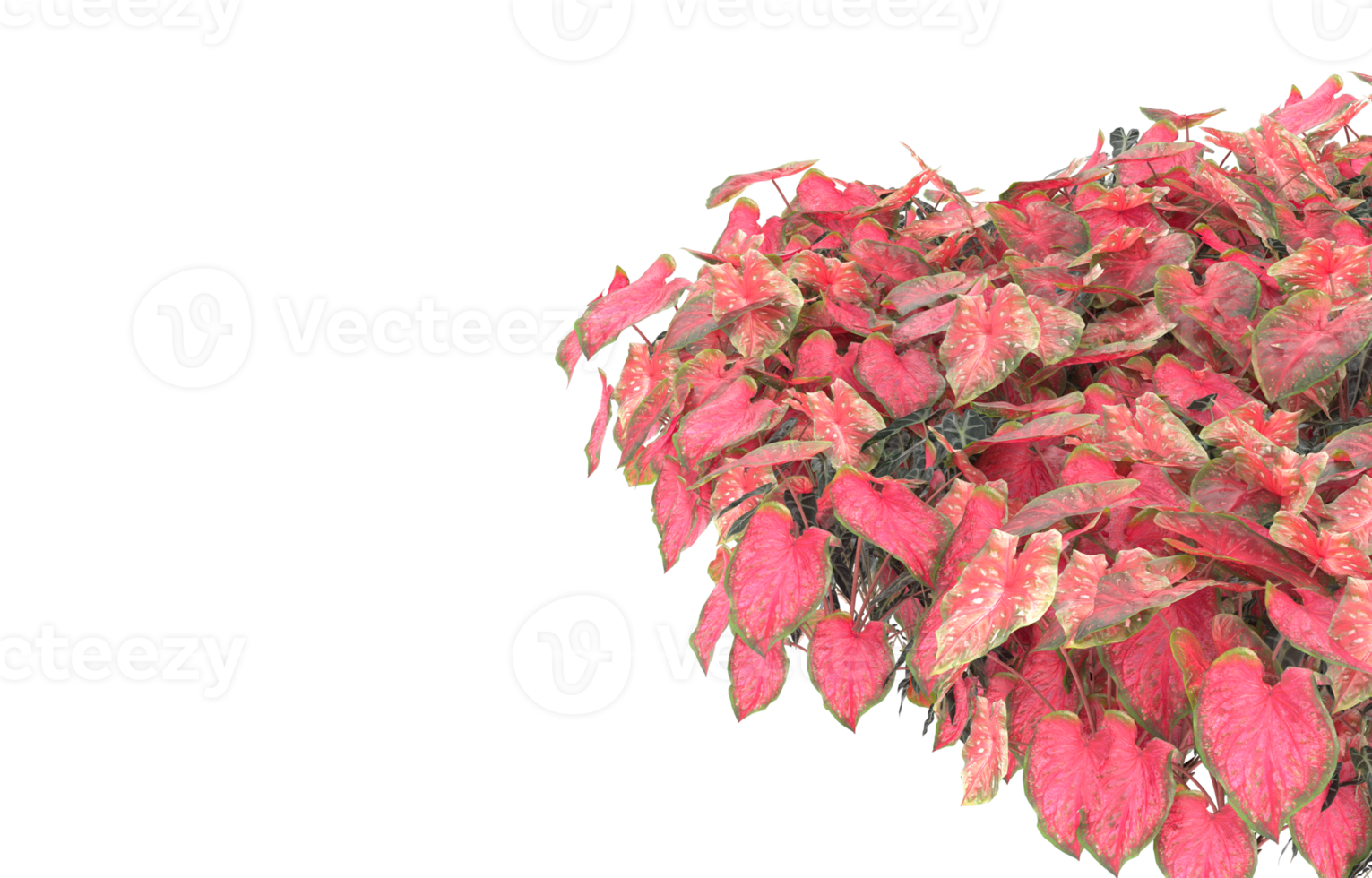 Realistic foliage isolated on transparent background. 3d rendering - illustration png